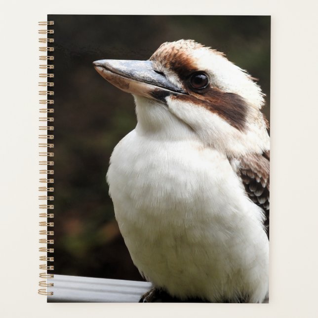 Agenda Kookaburra (Anverso)