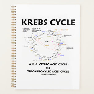Agenda Krebs Cycle A.K.A. Ciclo de Ácido Cítrico Tricar