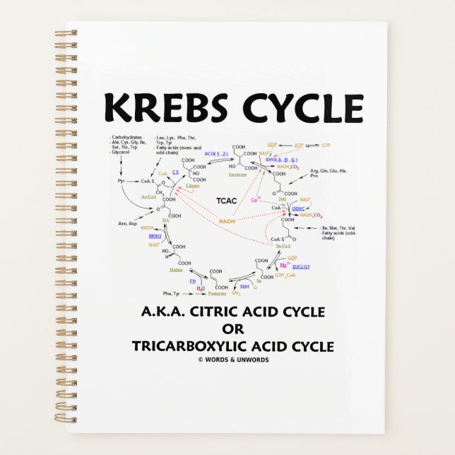 Agenda Krebs Cycle A.K.A. Ciclo de Ácido Cítrico Tricarbo (Anverso)