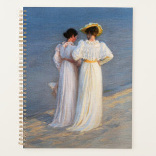 Agenda Kroyer - Noche de verano en Skagen Beach Closeup