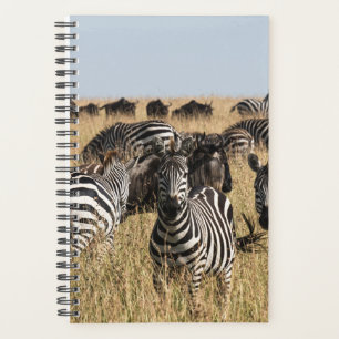 Agenda La cebra de Grant