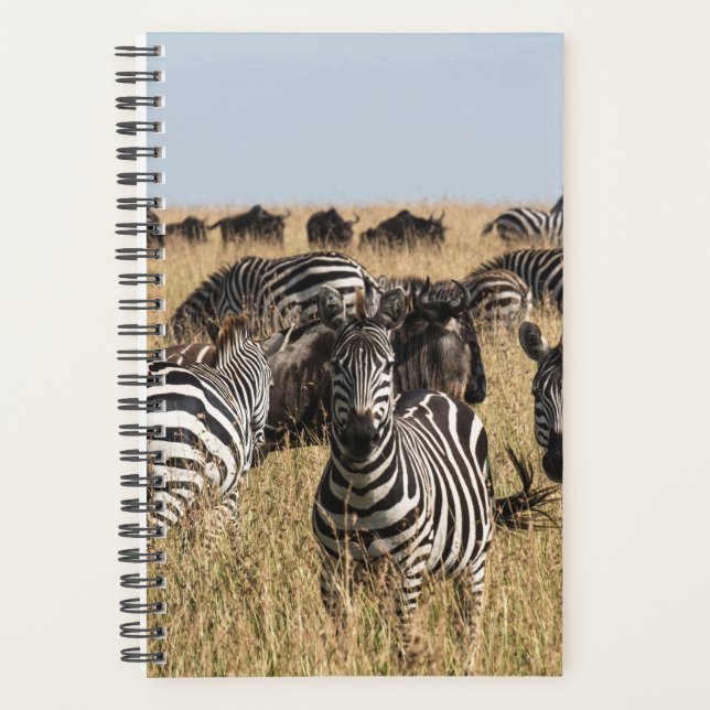 Agenda La cebra de Grant (Anverso)
