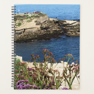 Agenda La Jolla Cove, California