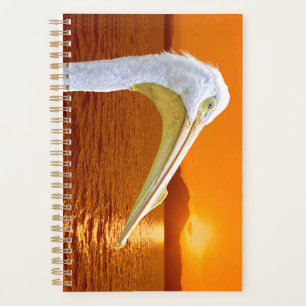 Agenda La puesta de sol estadounidense en Pelican White e