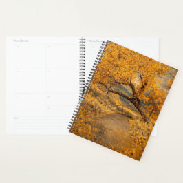 Agenda La ruta dorada inspirada en Klimt