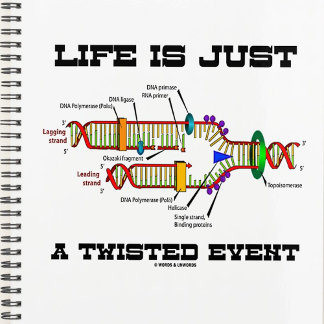 Agenda La Vida Es Sólo Un Evento Distorsionado Humor De R
