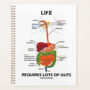 Agenda La Vida Requiere Mucha Gente Gastroenterología Hu