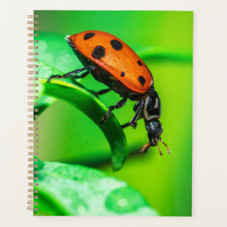 Agenda Ladybug Macro Planner Nature-Inspired Daily Notes
