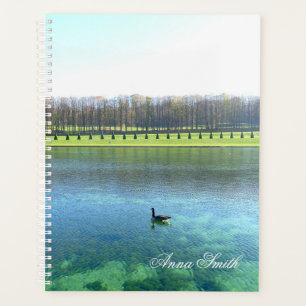 Agenda Lago Forestal. Ganso en el agua.