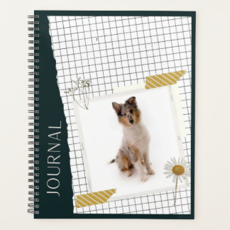 Agenda Langhaar Collie 