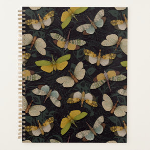 Agenda Lanternflies - Pyrops Candelaria y otros planthopp