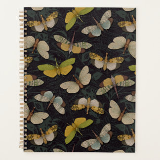 Agenda Lanternflies - Pyrops Candelaria y otros planthopp