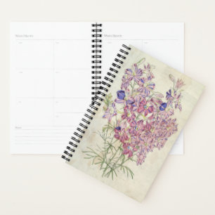 Agenda Larkspur de ramificación de tres colores