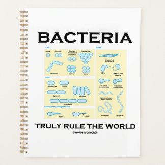 Agenda Las bacterias verdaderamente gobiernan la morfolog