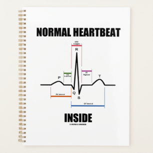 Agenda Latido normal dentro del ECG EKG Electrocardiogram