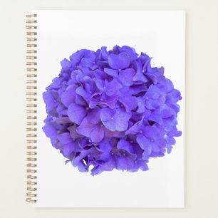 Agenda Lavanda lila púrpura Hidrangeas flores púrpuras