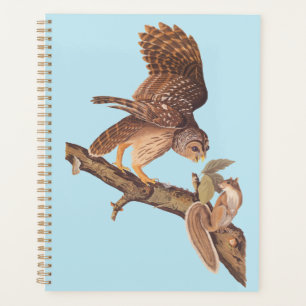 Agenda Lechuza barata de Audubon y amigos extraños de ard