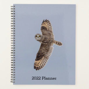 Agenda Lechuza Corta De 2024