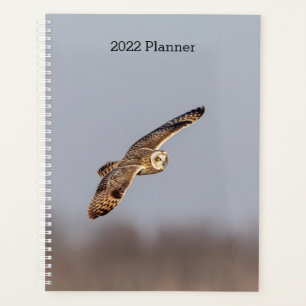 Agenda Lechuza Corta De 2024