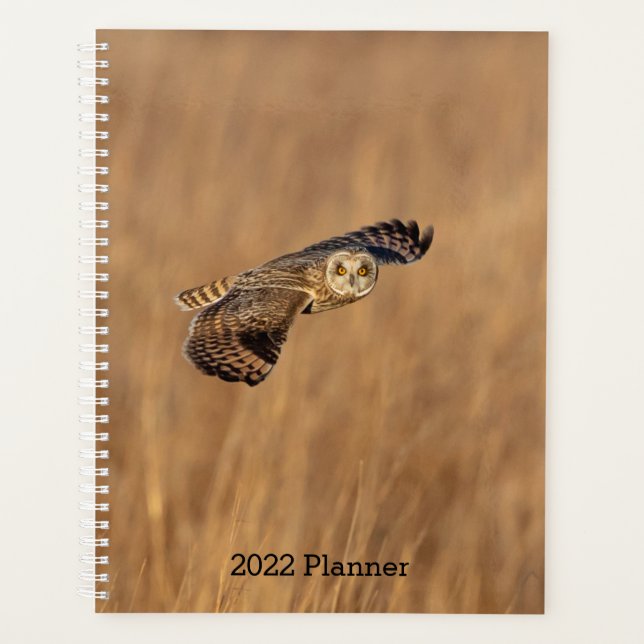 Agenda Lechuza De Corto Plazo 2022 (Anverso)