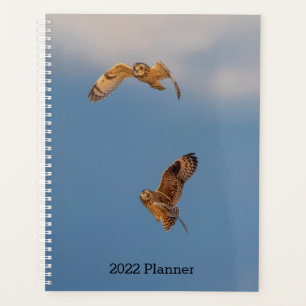 Agenda Lechuzas de Corto Plazo 2024