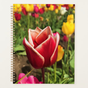 Agenda Leen Van Der Mark Tulip, Oregon