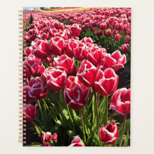 Agenda Leen Van Der Mark Tulips, Oregón