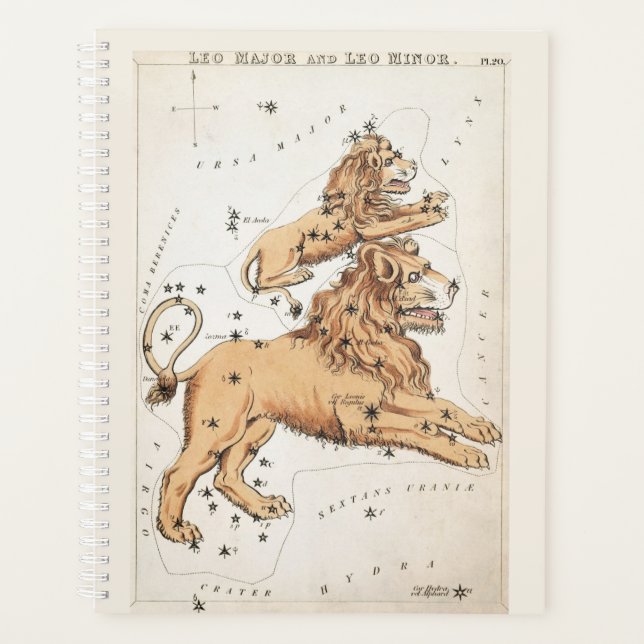 Agenda Leo celeste Zodiac (Anverso)