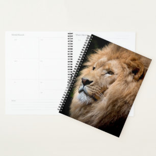 Agenda León