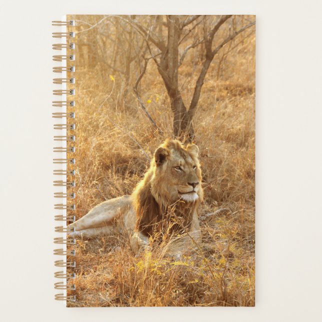 Agenda León (Anverso)