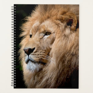 Agenda León