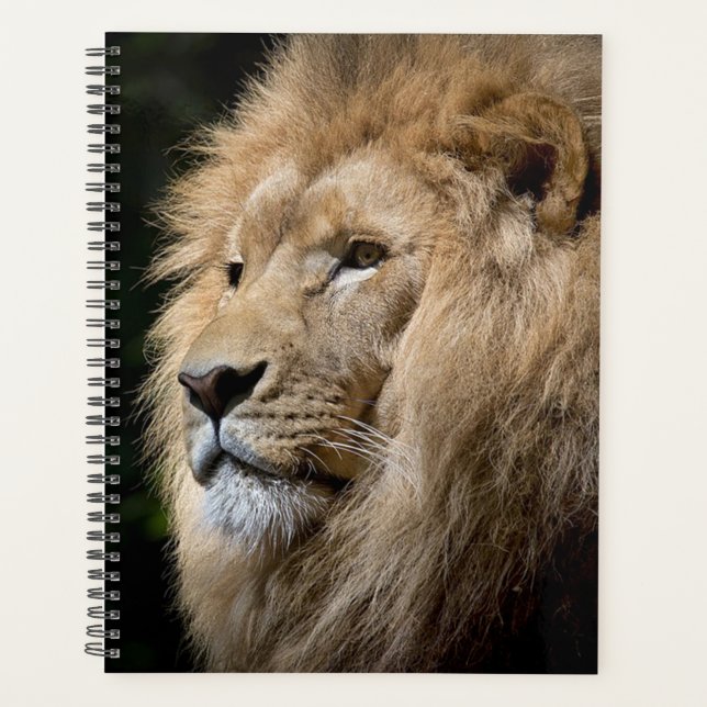 Agenda León (Anverso)