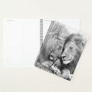 Agenda León