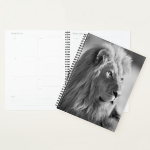 Agenda León
