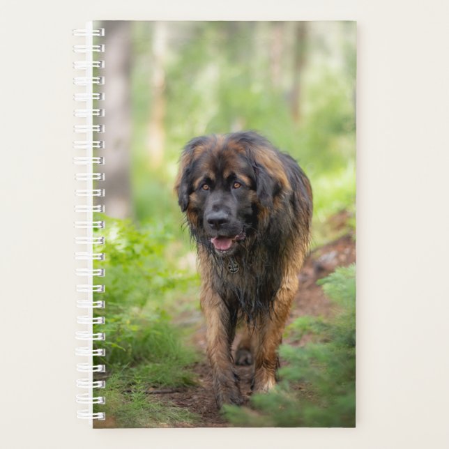 Agenda Leonberger (Anverso)