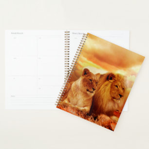 Agenda Leones