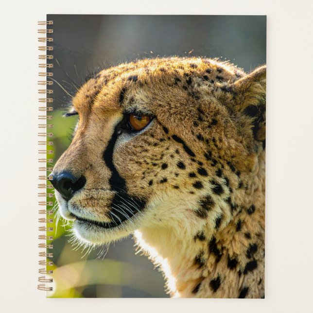 Agenda leopardo (Anverso)