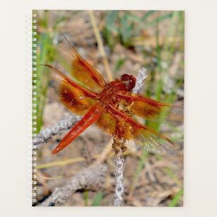 Agenda Lg Planner Naranja Dragonfly