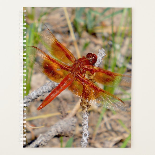 Agenda Lg Planner Naranja Dragonfly (Anverso)