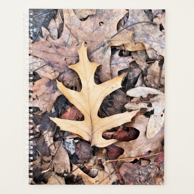 Agenda Lg Planner Oak Leaf (Anverso)