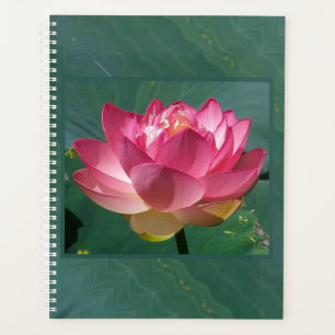 Agenda Lg Planner Pink Lotus