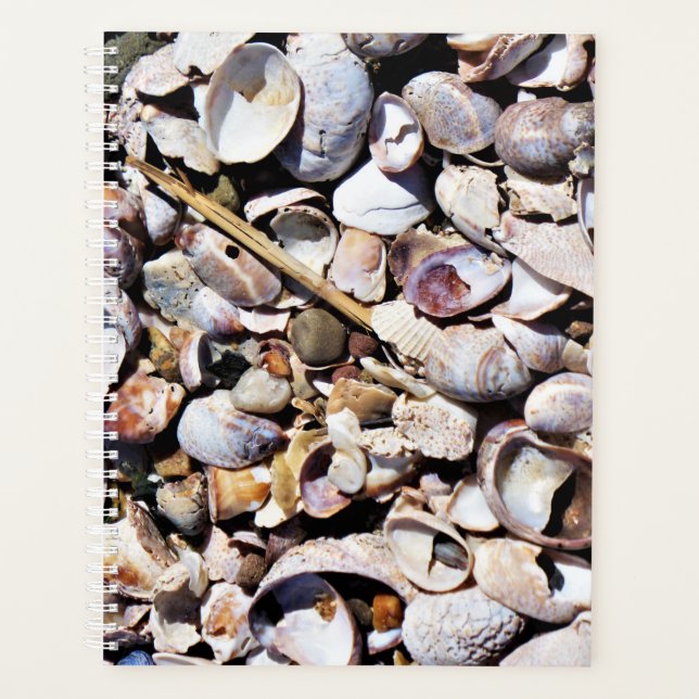 Agenda Lg Planner Seashells (Anverso)