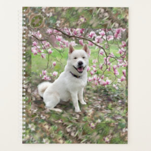 Agenda Lg Planner White Akita