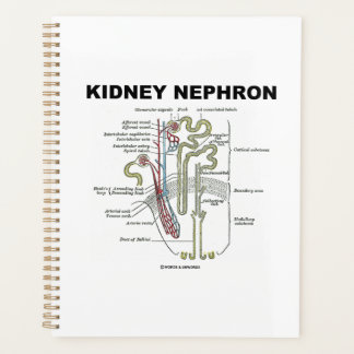 Agenda Libro de texto sobre anatomía de Kidney Nephron Gr
