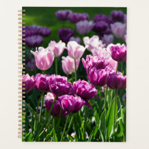 Agenda Lílago brillante y tulipanes rosados en un día sol