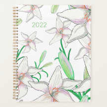 Lilies Blancos 2022