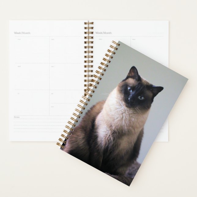 Agenda Lily (Demostración)