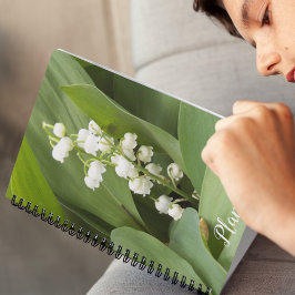 Agenda Lily of the Valley Flowers Floral