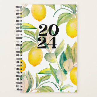 Agenda Limón de 2024