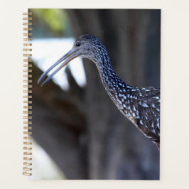 Agenda Limpkin, The Crying Bird